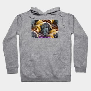 Aries / Swiss Artwork Photography Hoodie